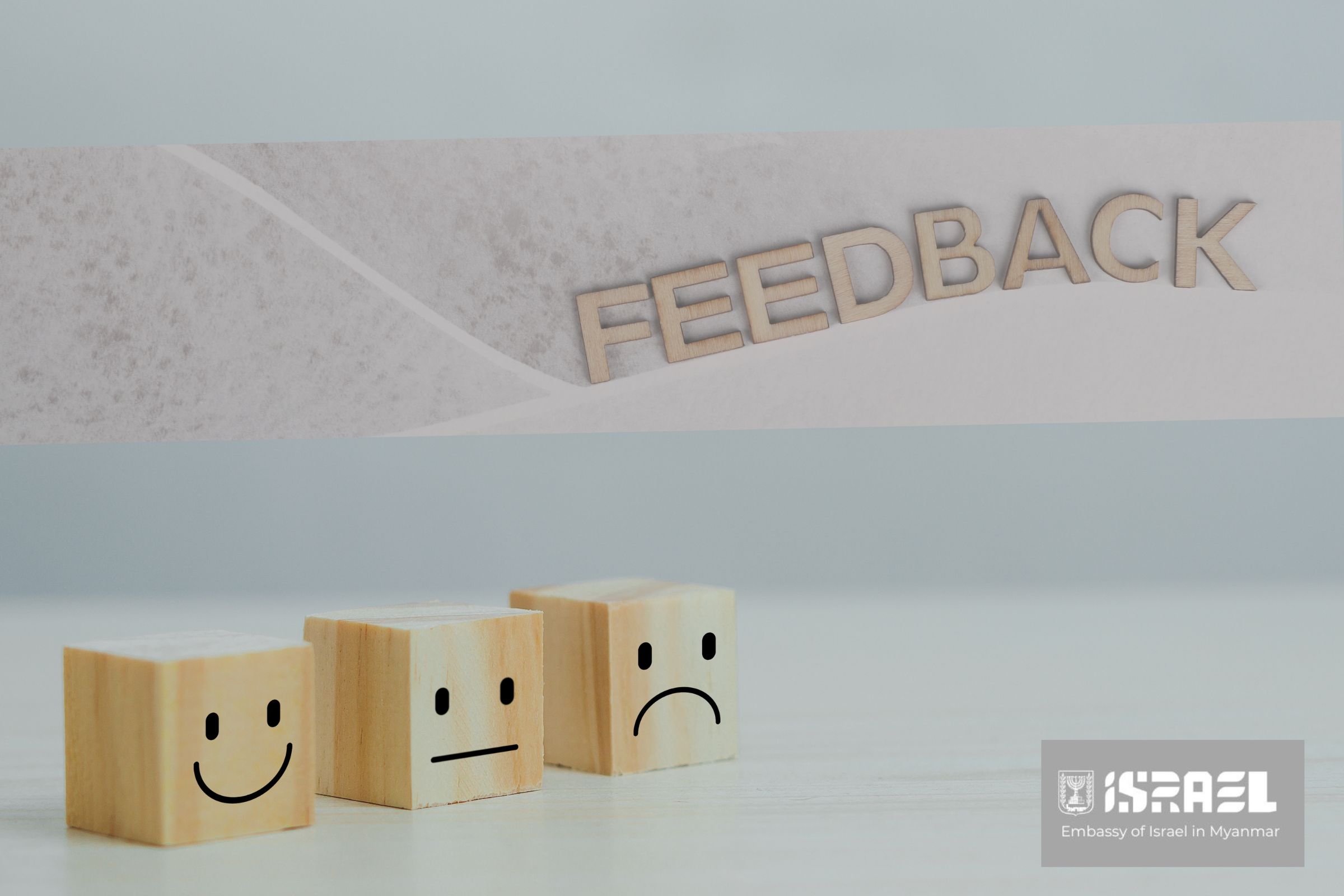 Consular Feedback